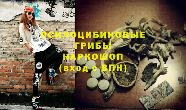 герыч Арсеньев
