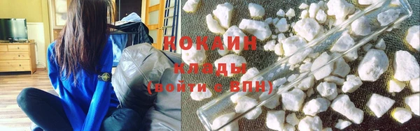 гидра Новозыбков