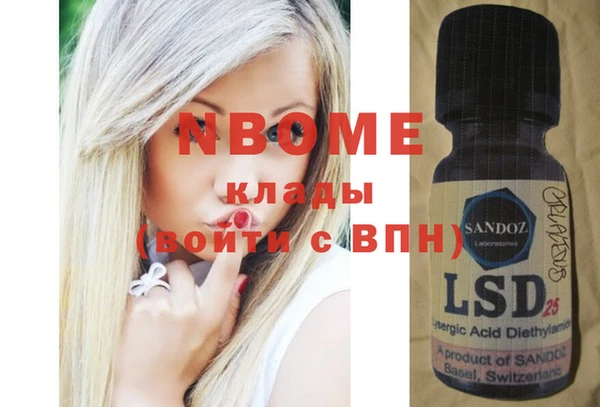 гашик Новодвинск