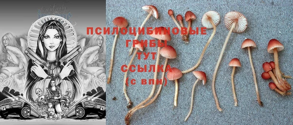 ПСИЛОЦИБИНОВЫЕ ГРИБЫ Нягань