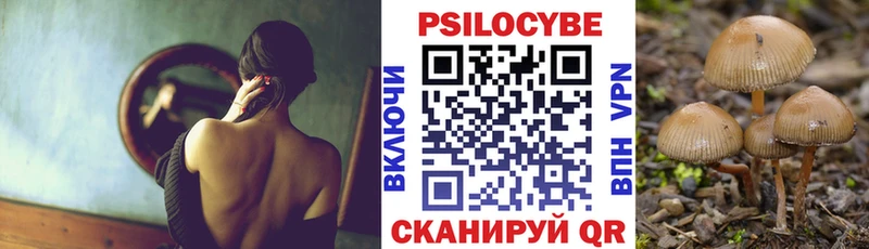 Псилоцибиновые грибы Psilocybine cubensis  Сковородино 